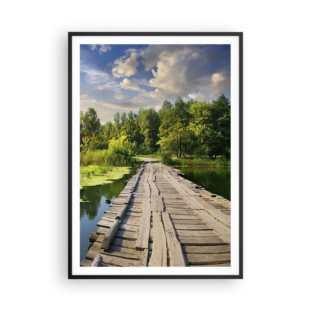 arttor3-213166