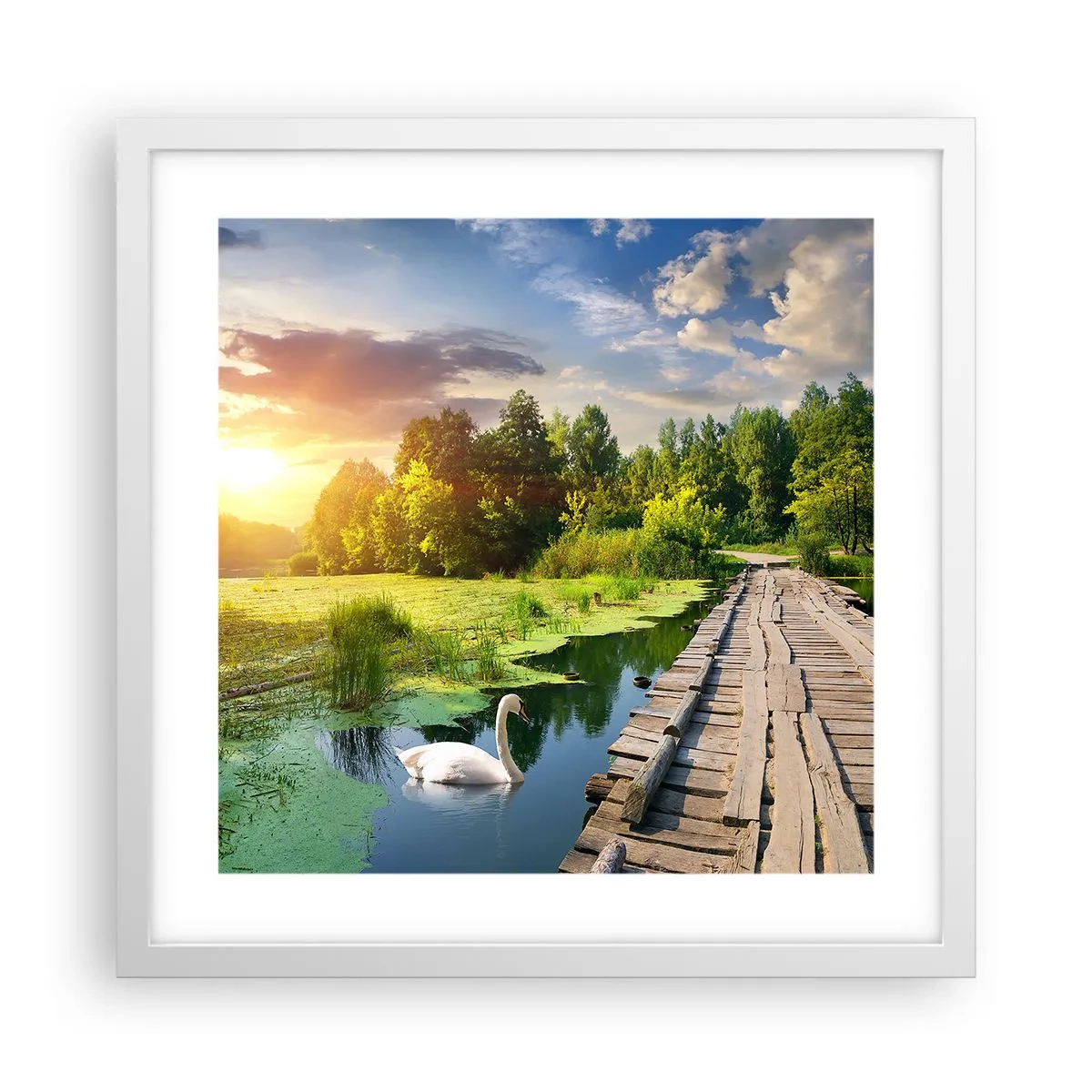arttor3-213260