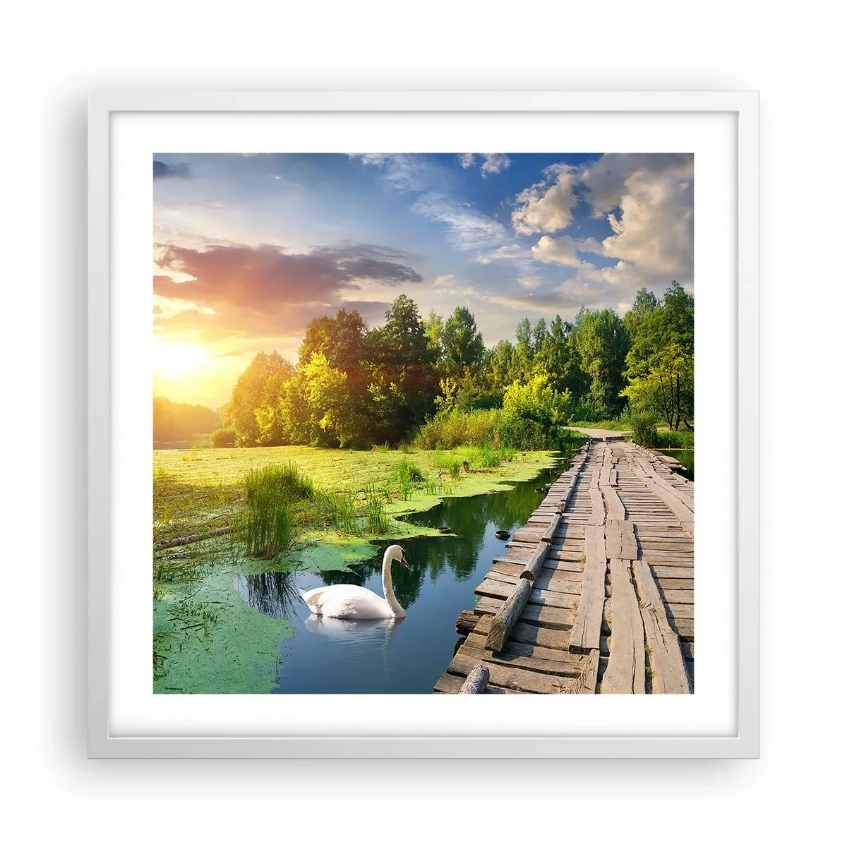 arttor3-213268
