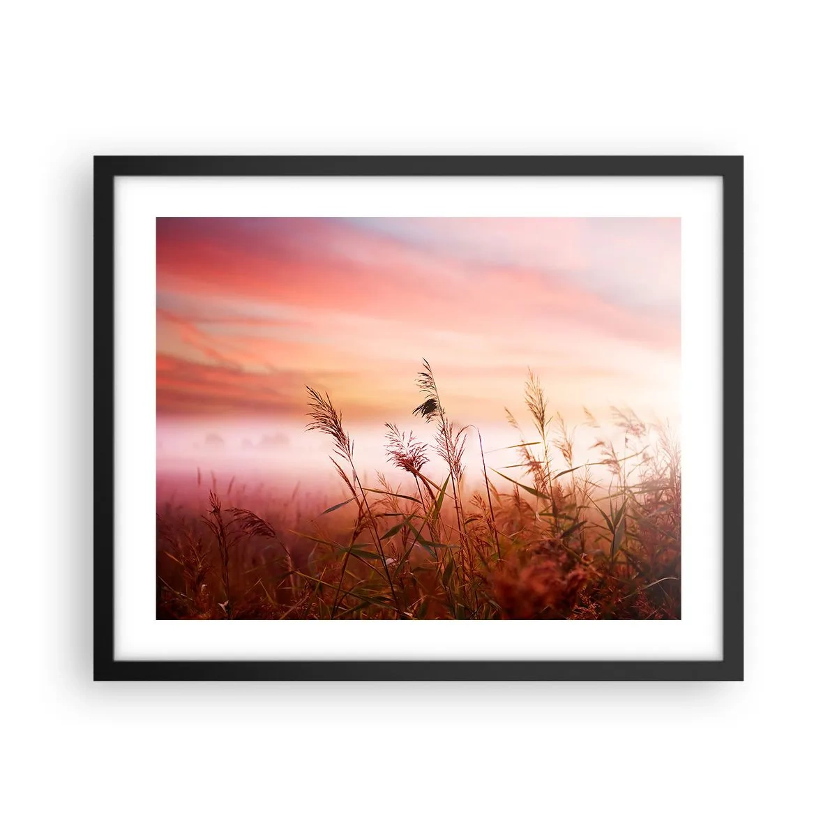 arttor3-229110