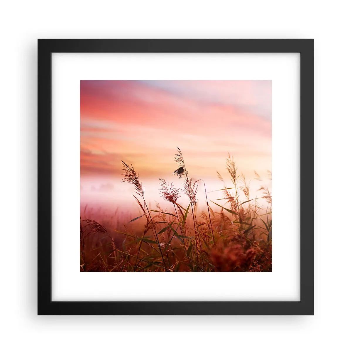 arttor3-229121