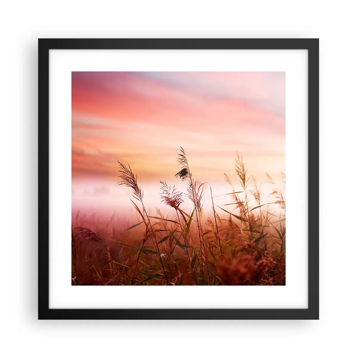 arttor3-229149