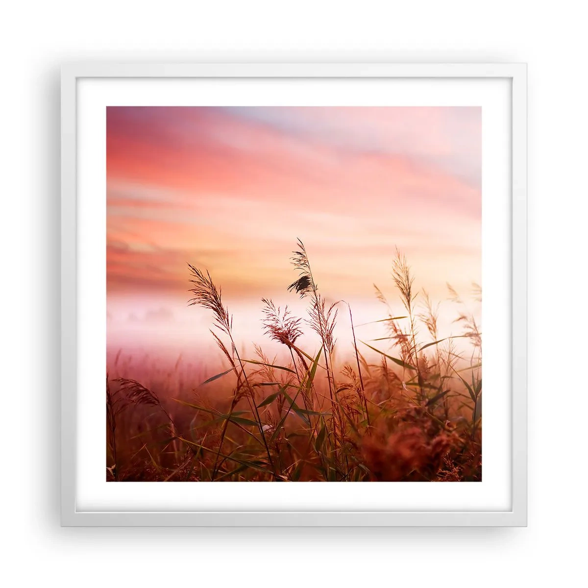 arttor3-229264