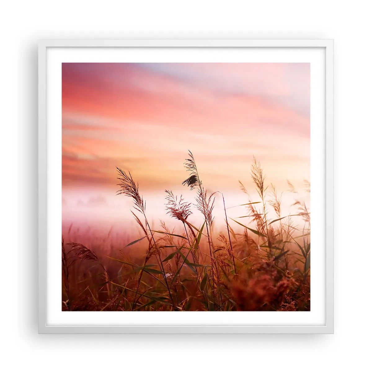 arttor3-229272