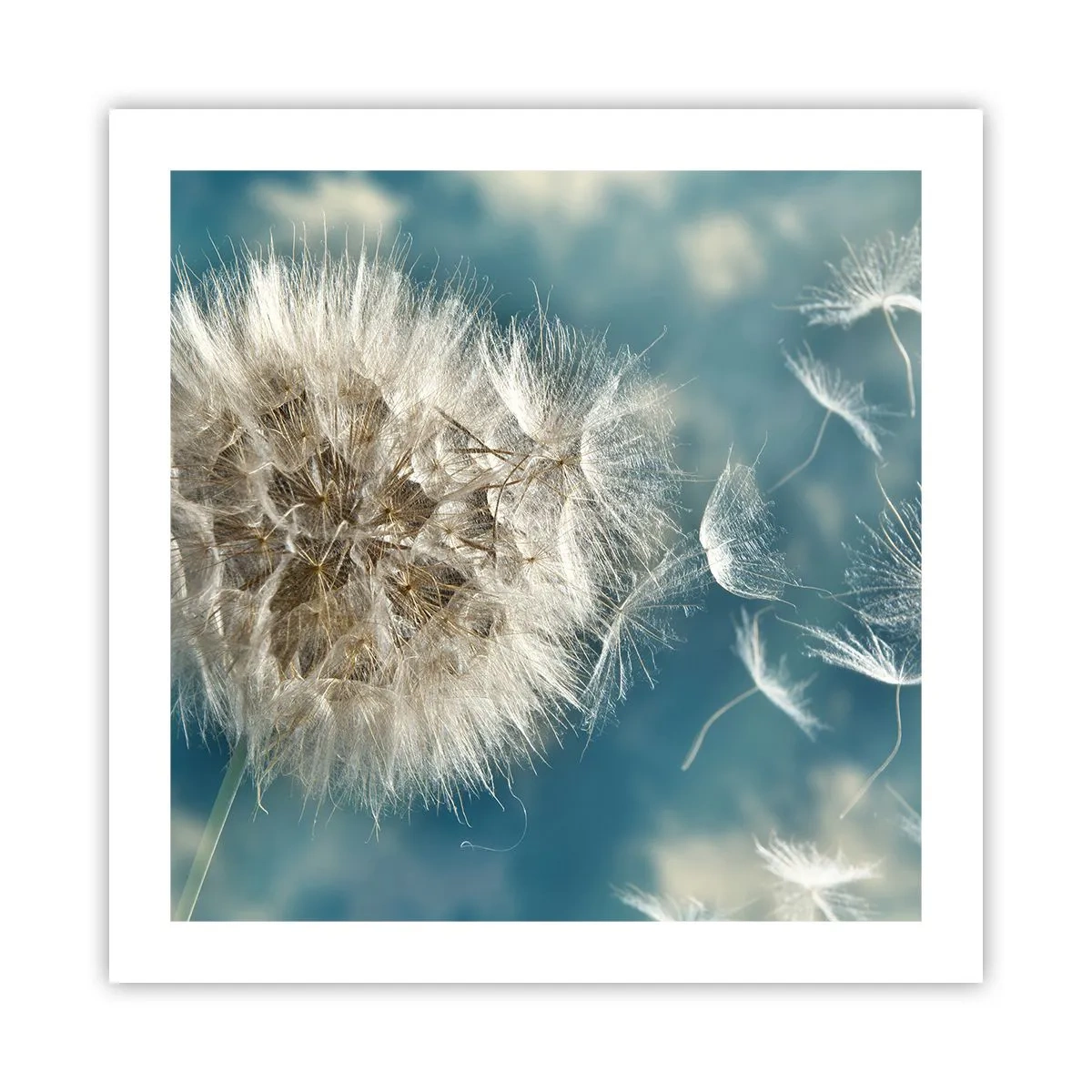 arttor3-236596