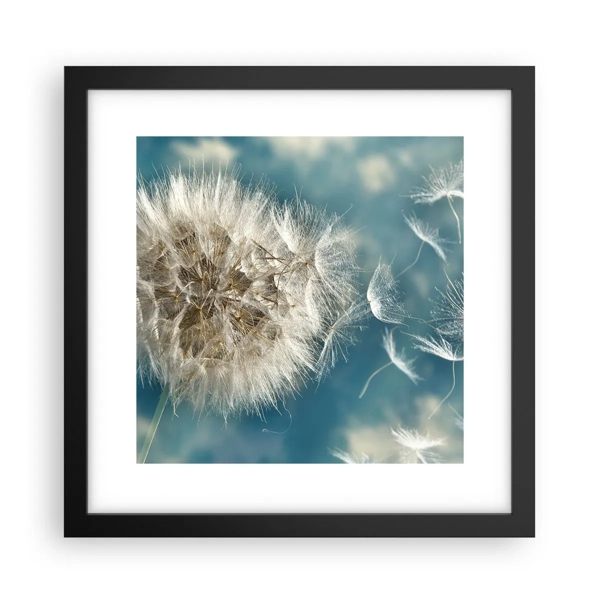 arttor3-236637