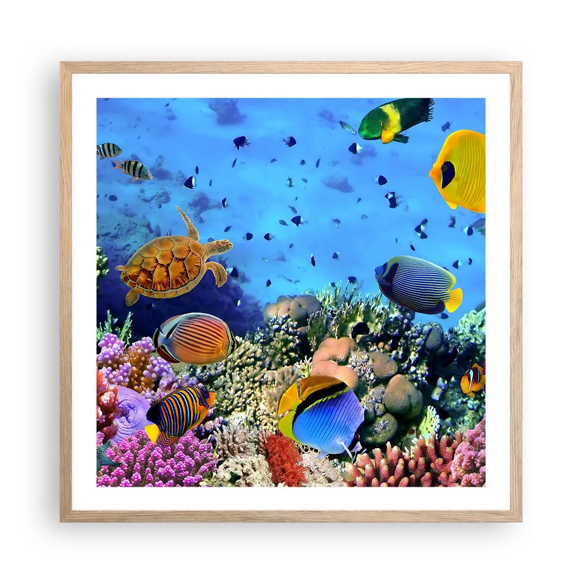 arttor3-237445