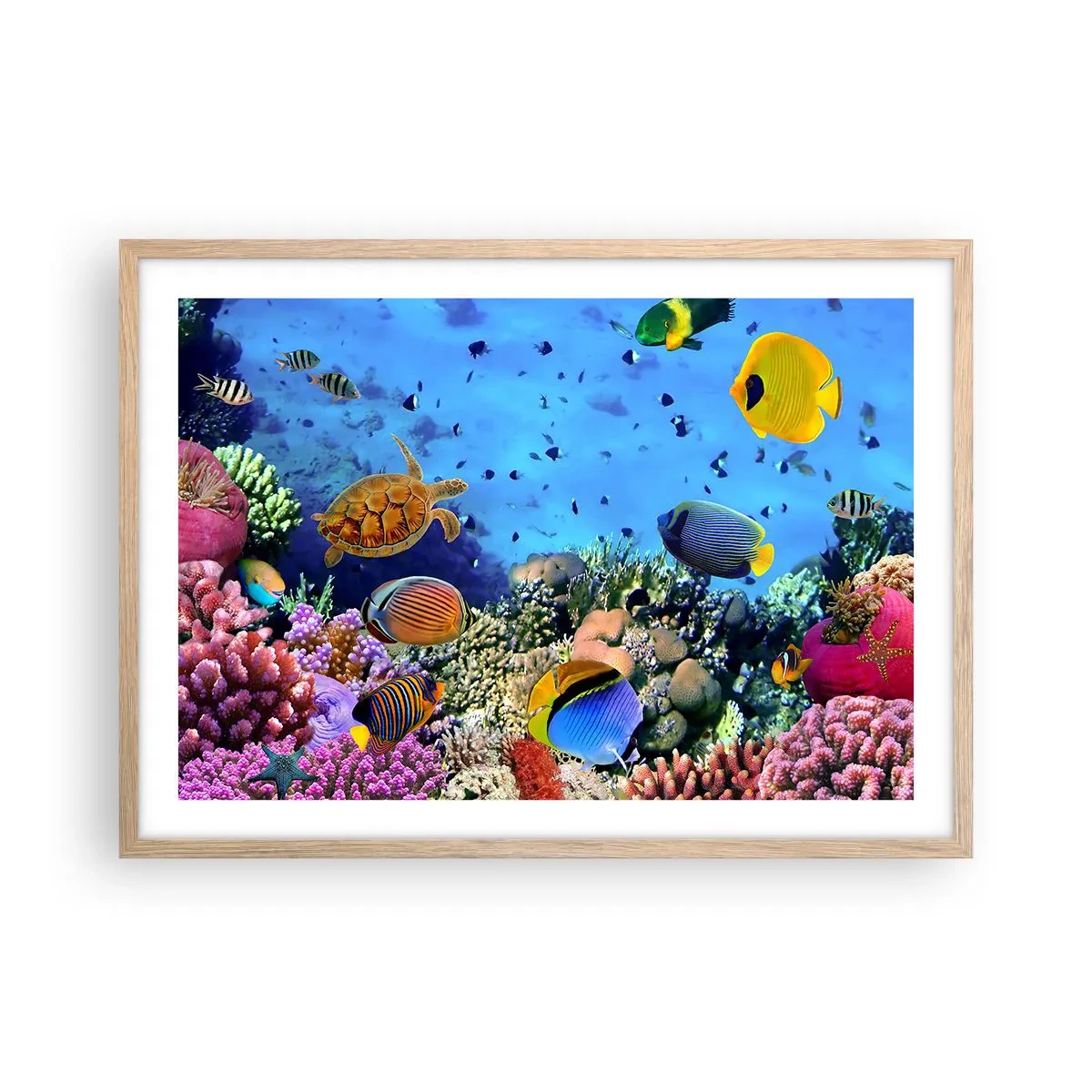 arttor3-244507