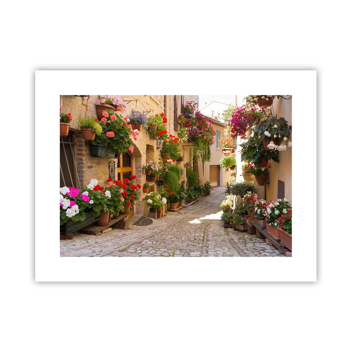 arttor3-245238