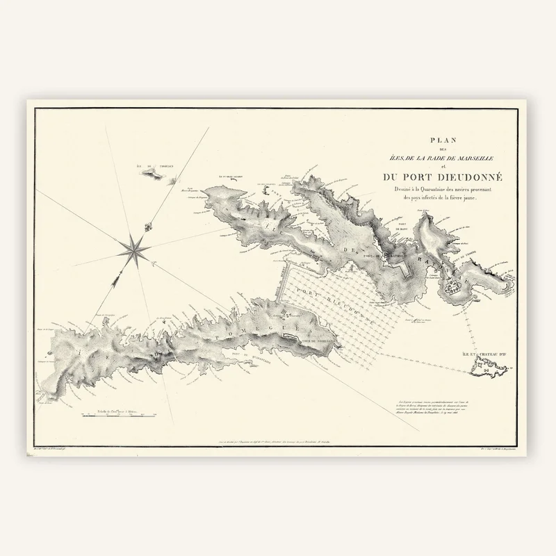 cartopolo1281148