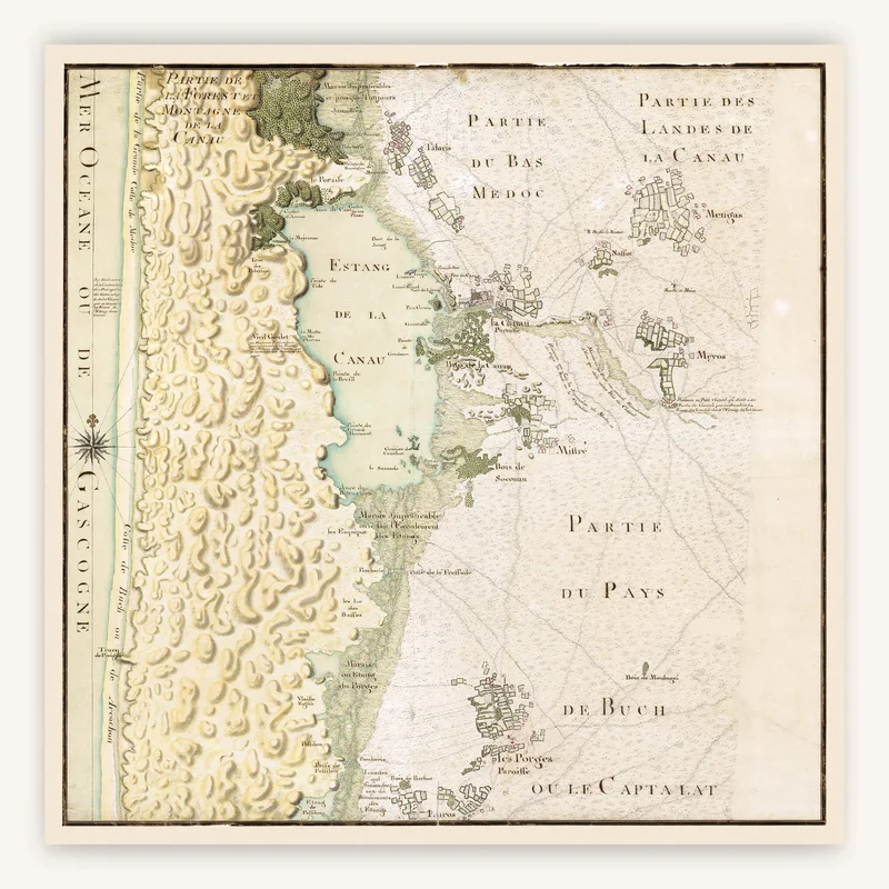 cartopolo1285300