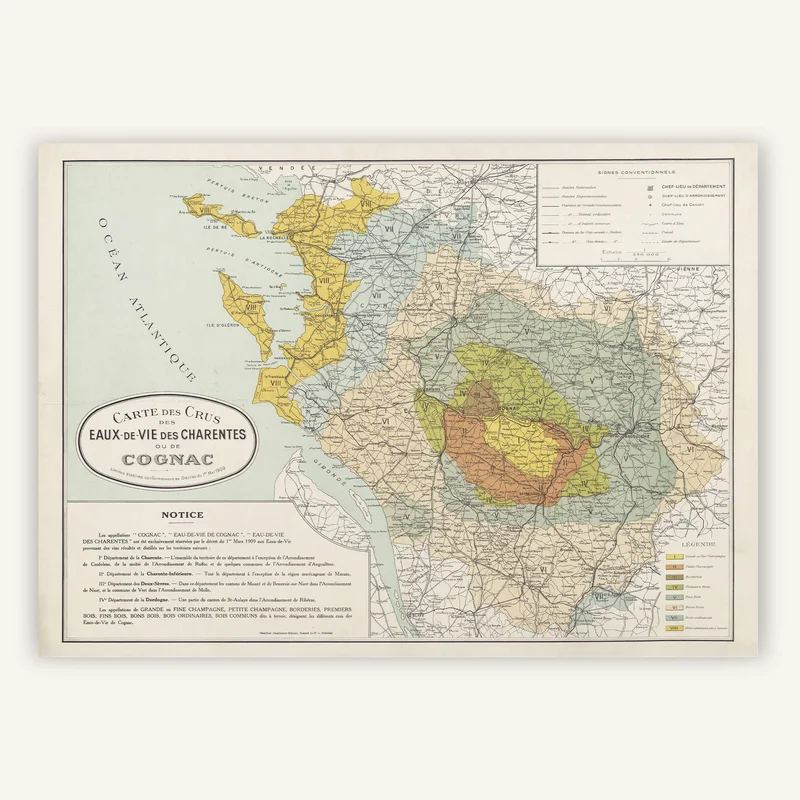 cartopolo1285357