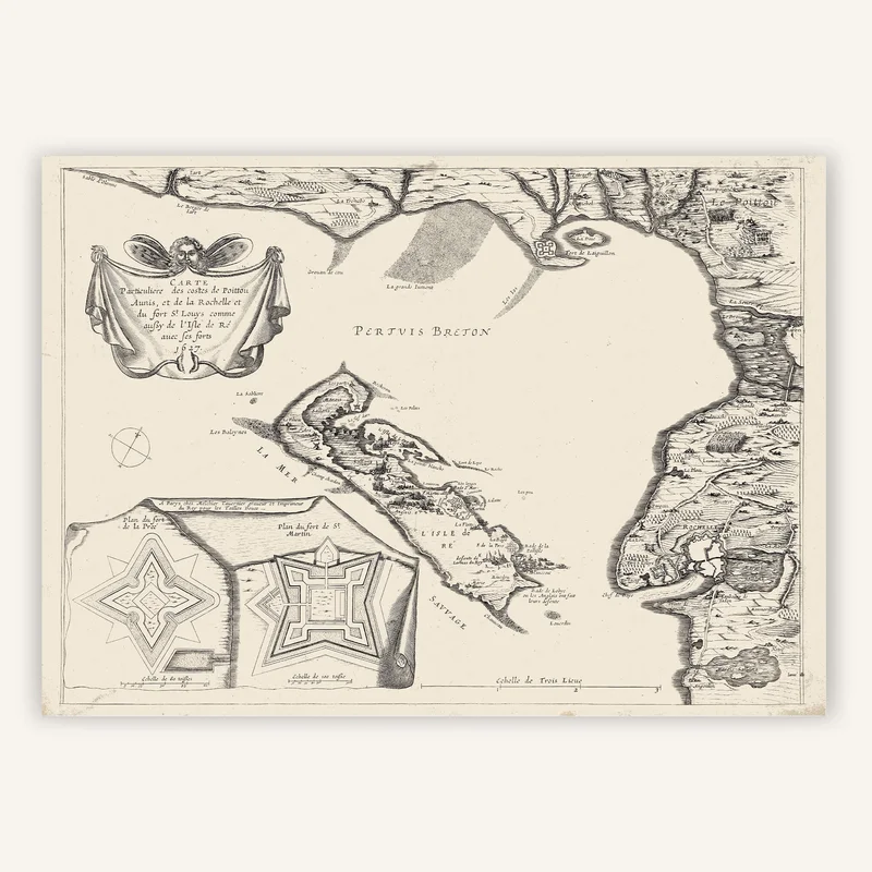 cartopolo1286717