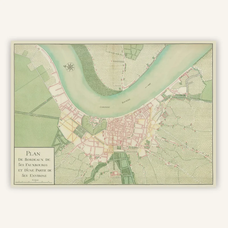 cartopolo1288408