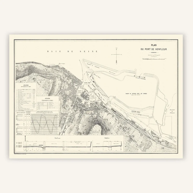 cartopolo1288648