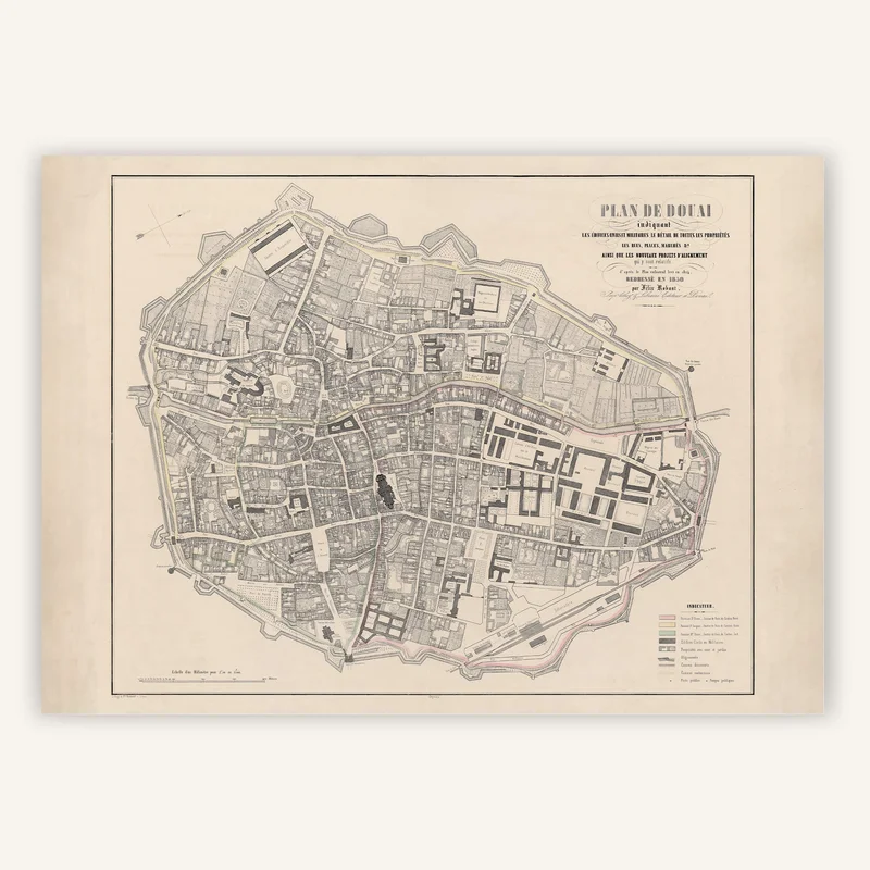 cartopolo1289902