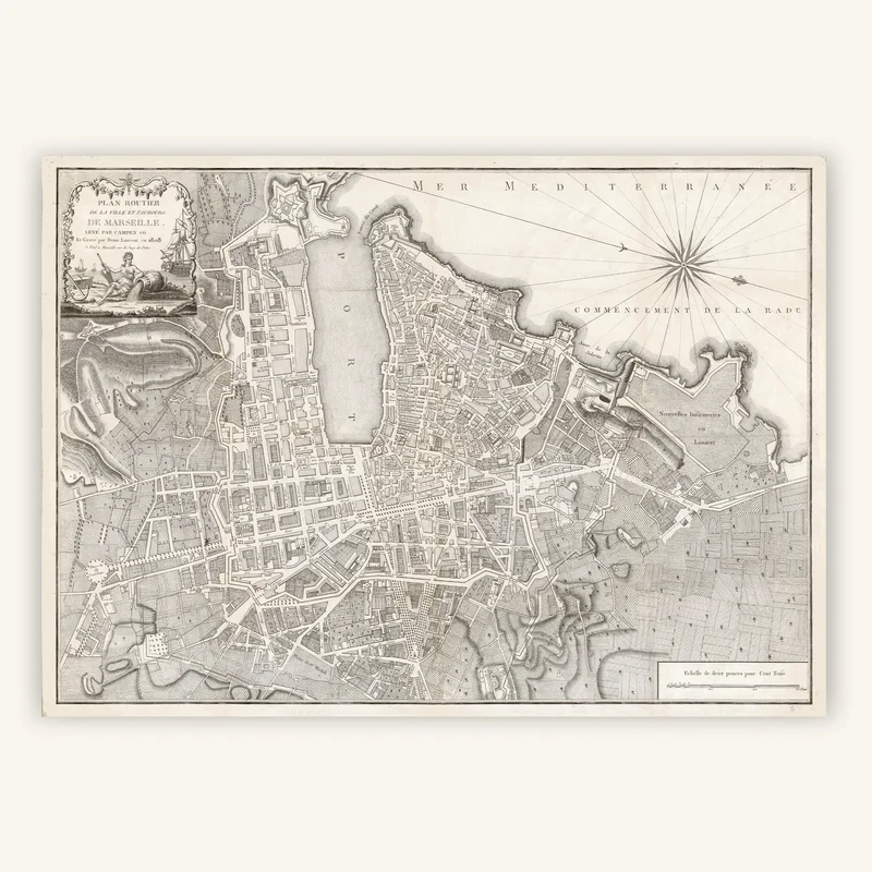 cartopolo1291064