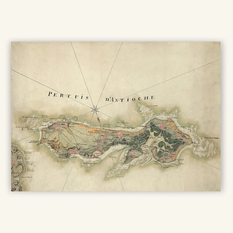 cartopolo1292093