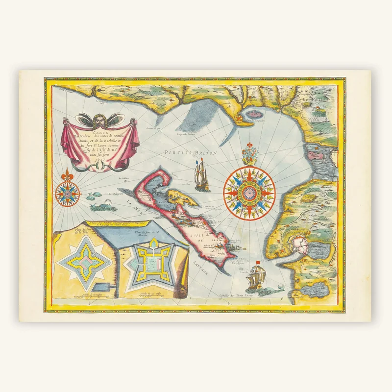 cartopolo1292103