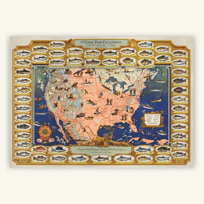 cartopolo1293650