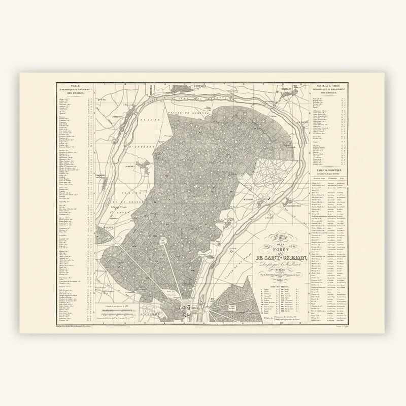 cartopolo1294538