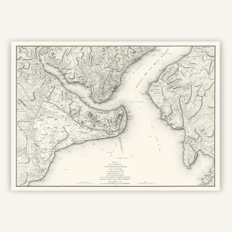 cartopolo1295860
