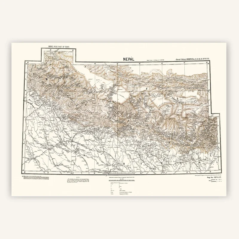 cartopolo1295948