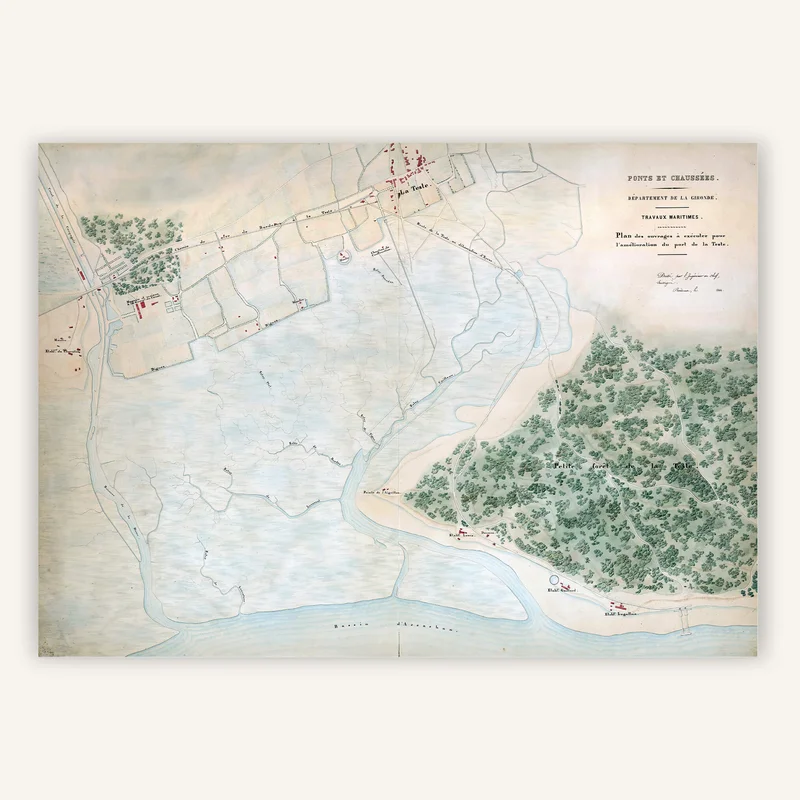 cartopolo1298236