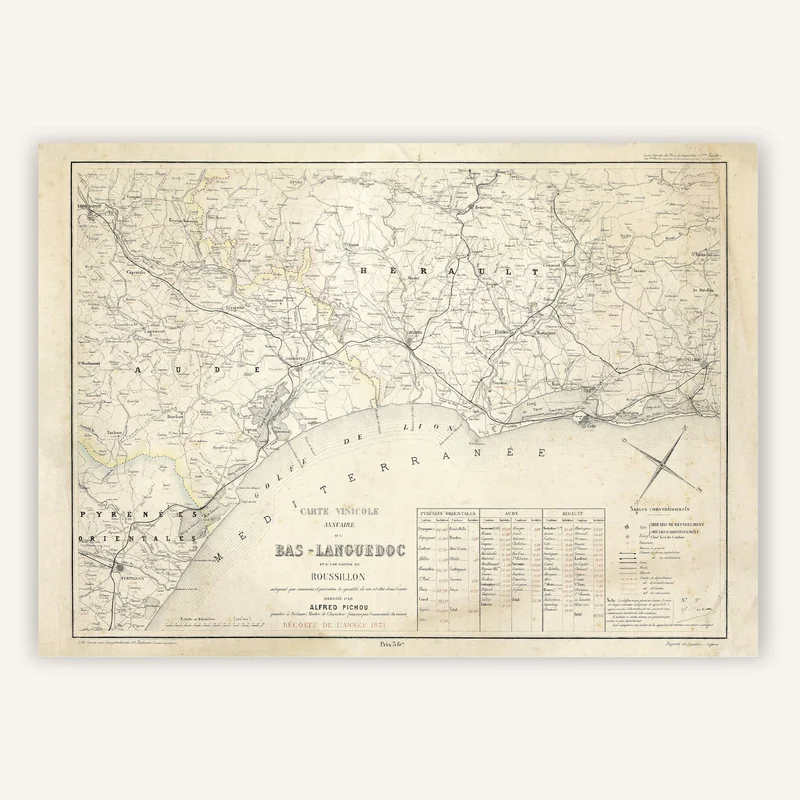 cartopolo1298643