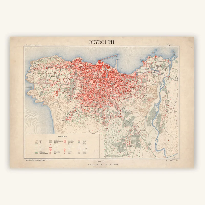 cartopolo1299866