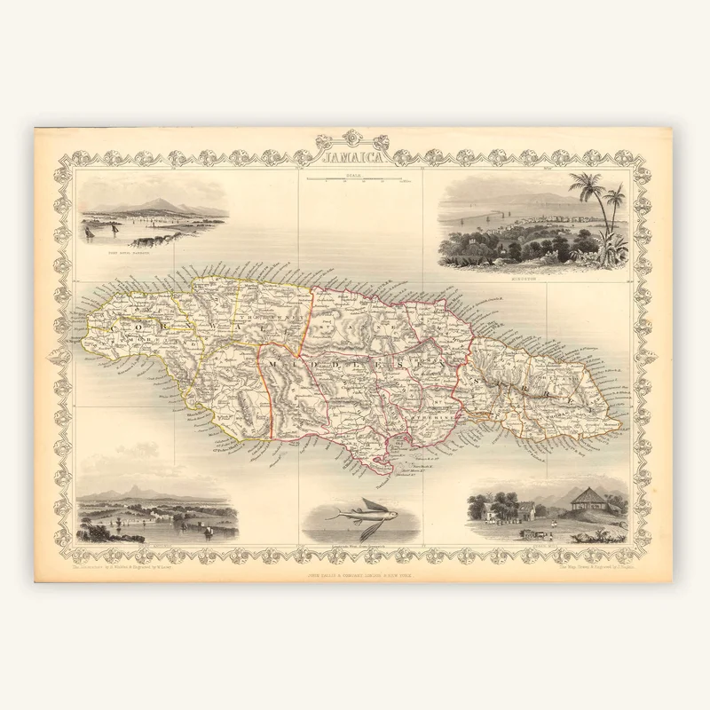 cartopolo1301184