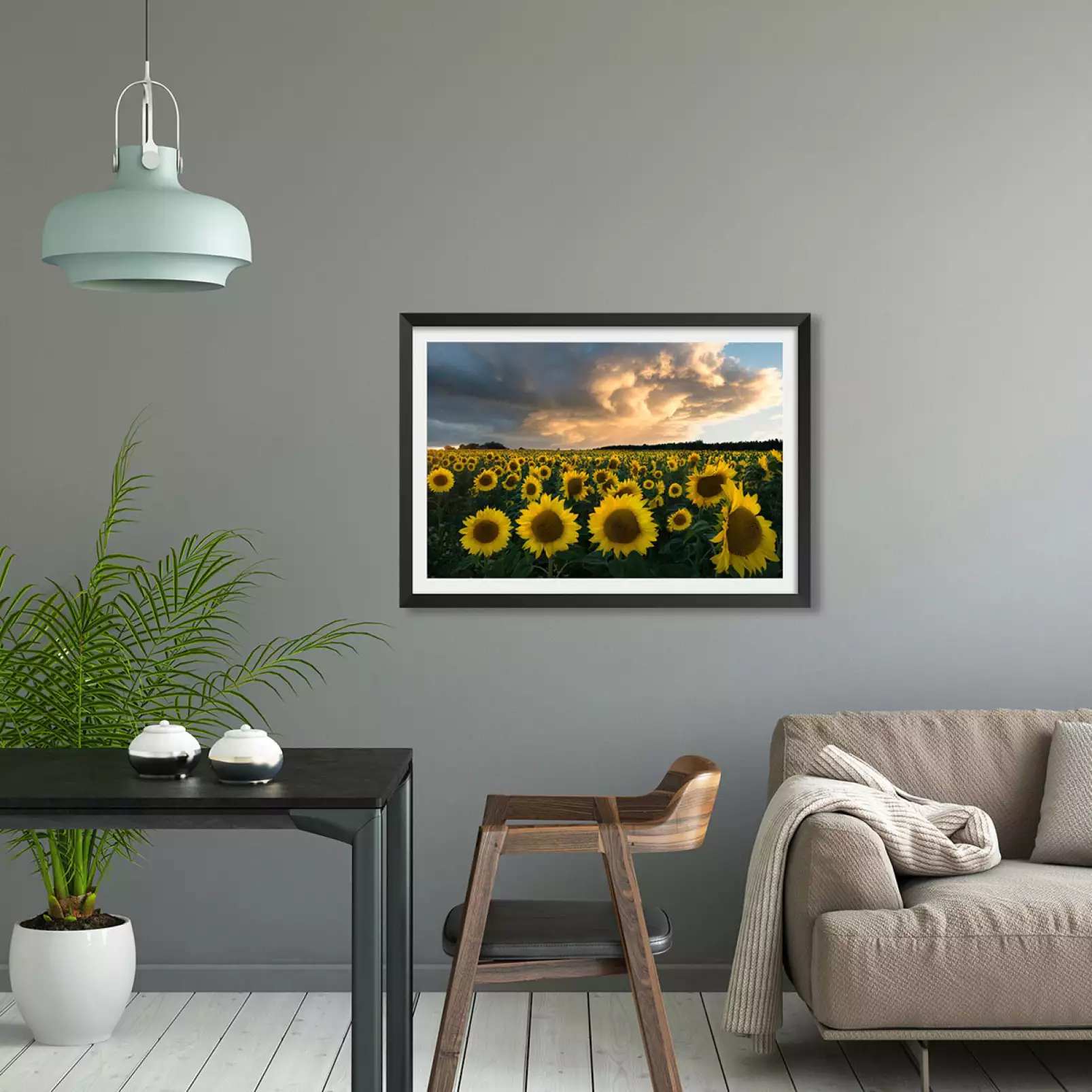 paysage-champs-tournesols-en-suede