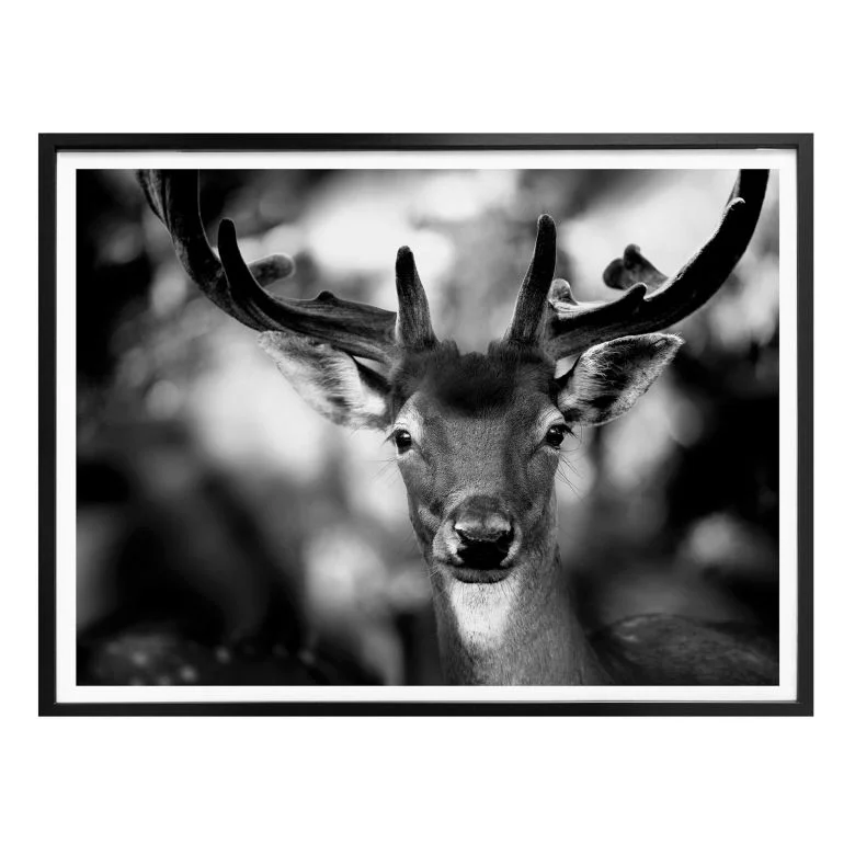 wall-art-1355081