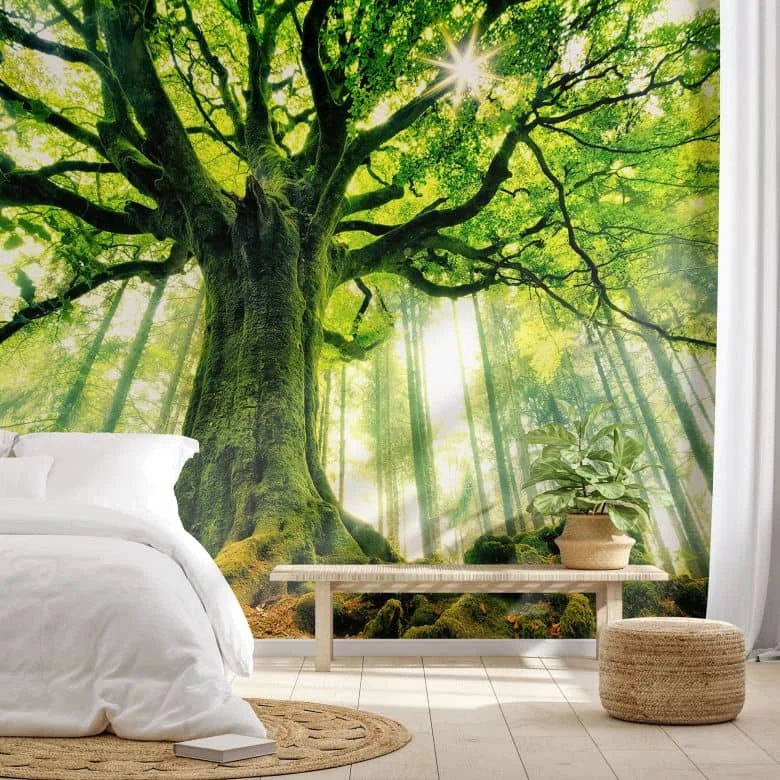 wall-art-1356100