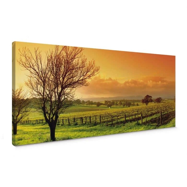 wall-art-1357794
