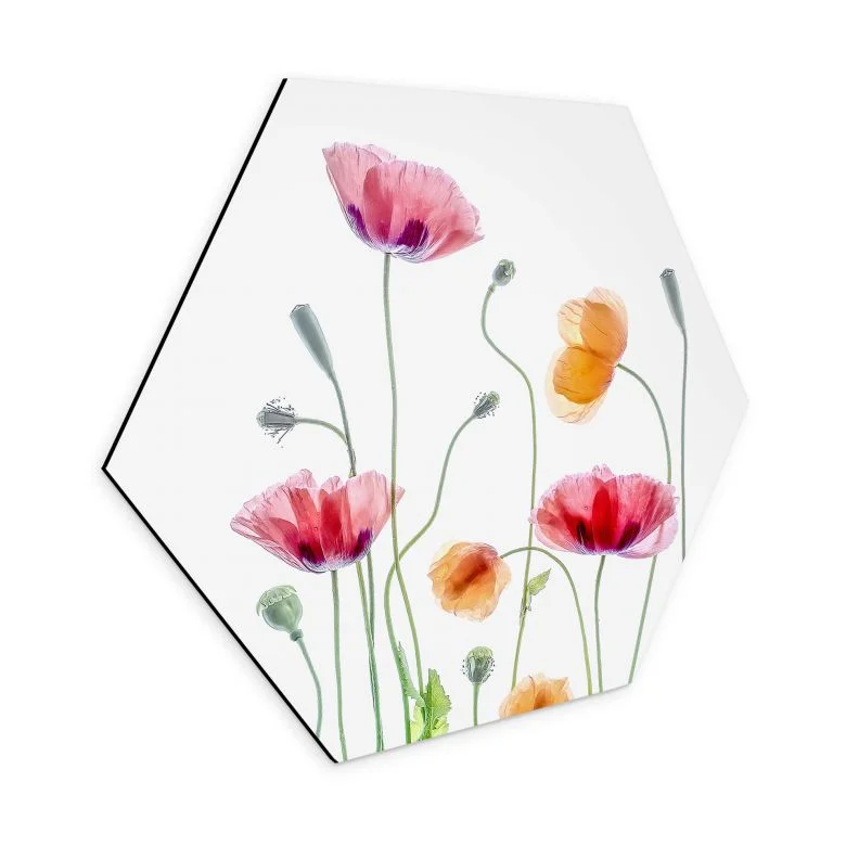 wall-art-1357927