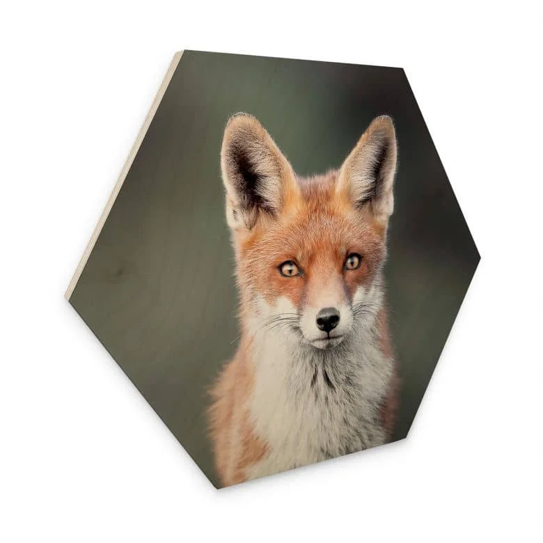 wall-art-1357957