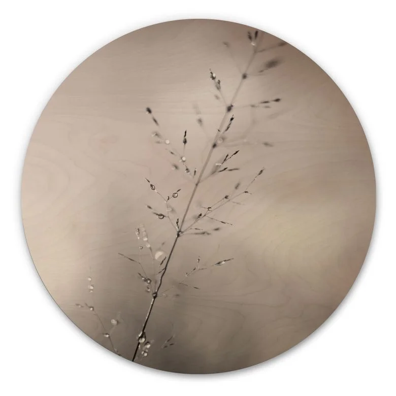wall-art-1358221
