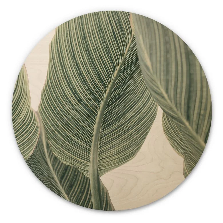 wall-art-1358832