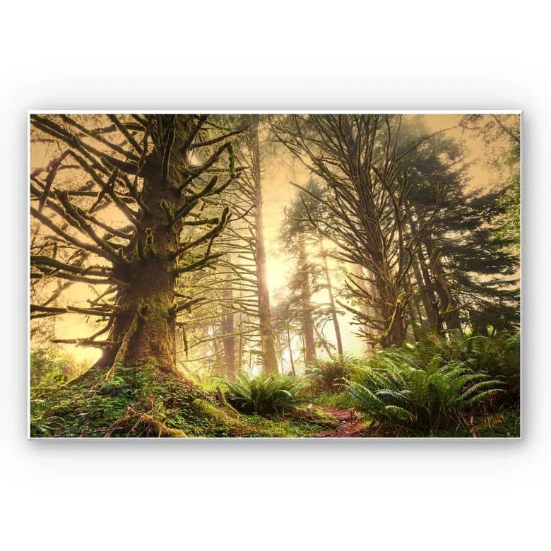 wall-art-1359235