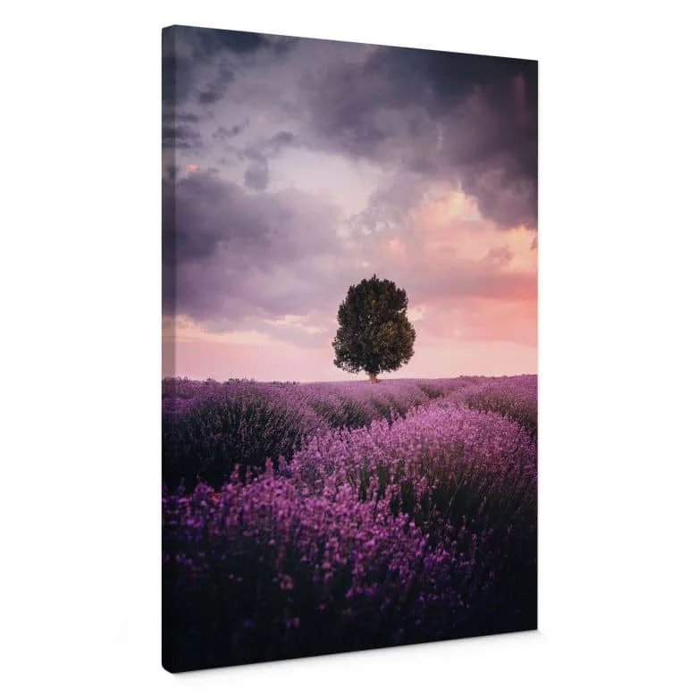 wall-art-1359734