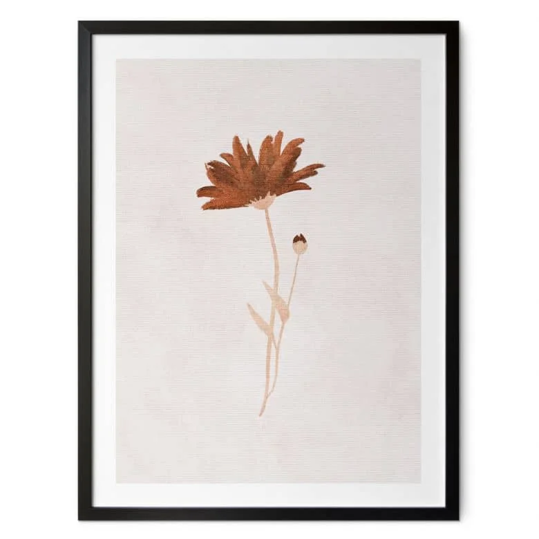 wall-art-1359836