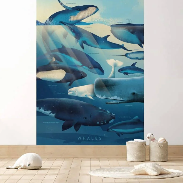 wall-art-1359916