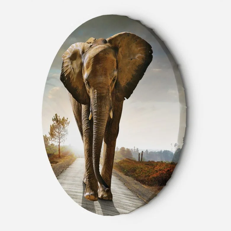 wall-art-1359976