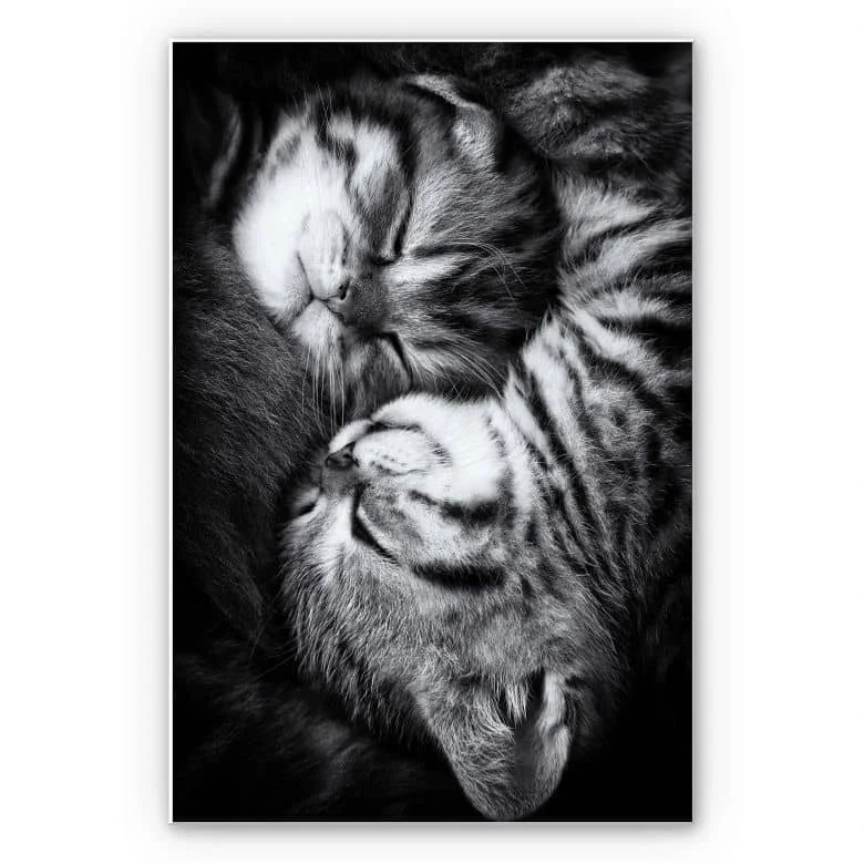 wall-art-1360087