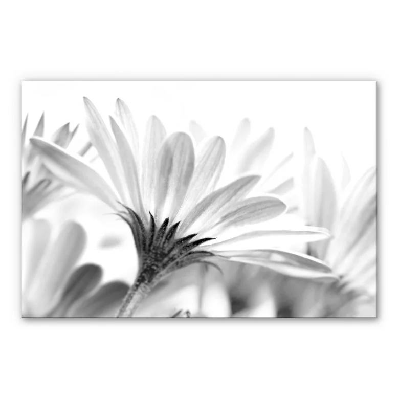 wall-art-1360547