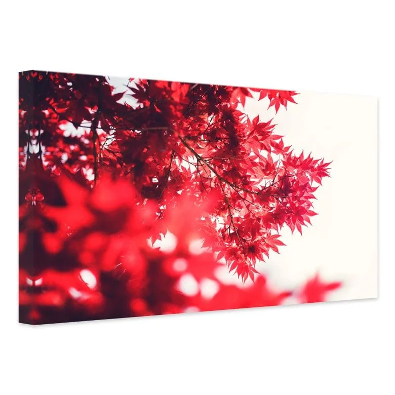 wall-art-1360994