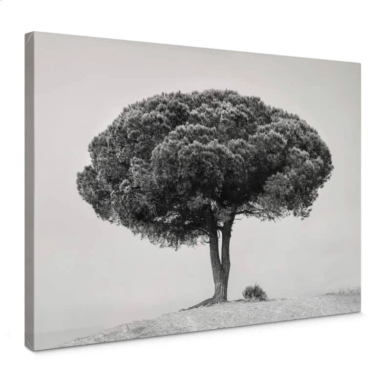 wall-art-1363039