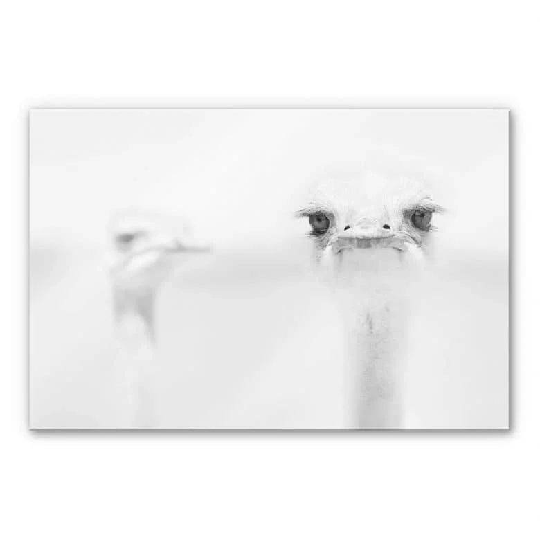 wall-art-1363277