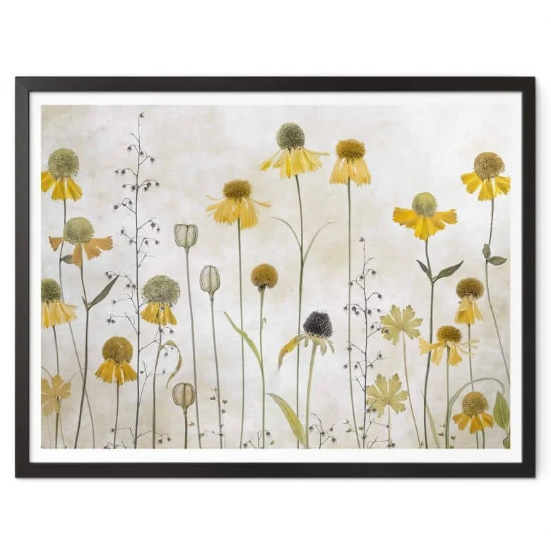 wall-art-1364692